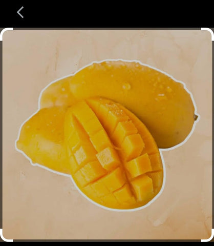 Mango syrup 2L