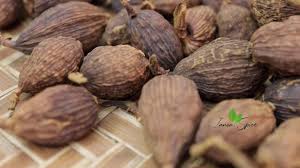 AMOMUM TSAO KO (BLACK CARDAMON)