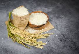 JASMINE RICE 25KG