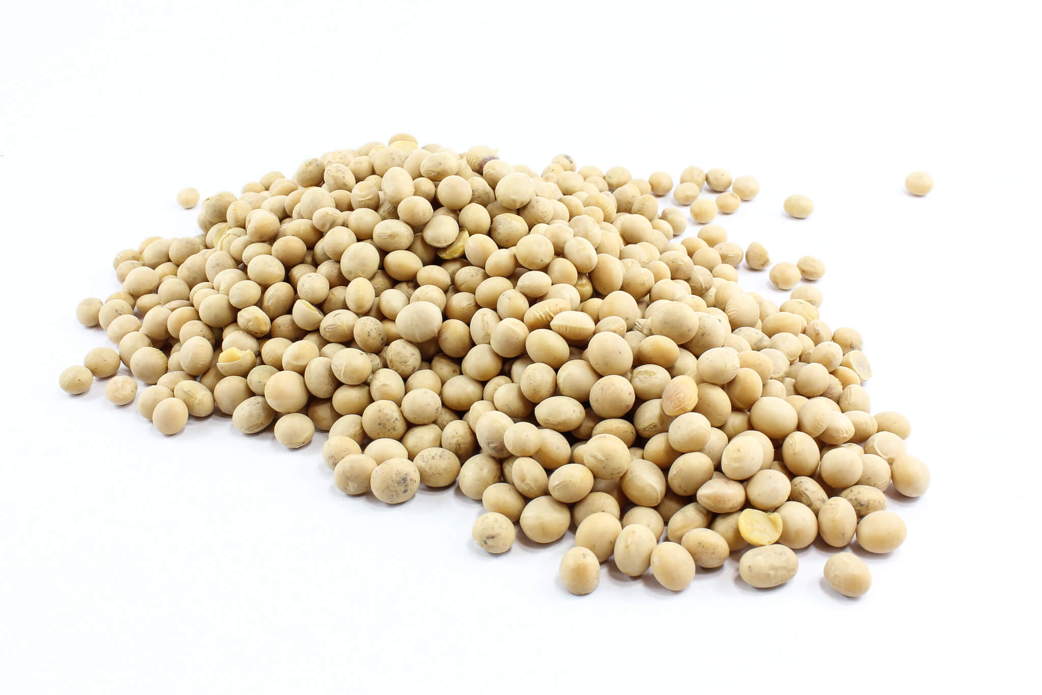 Soy Bean 500g